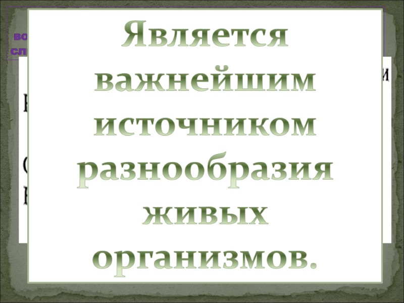 Комбинативная изменчивость-  возникает вследствие рекомбинации генов во время слияния гамет. независимое расхождение хромосом